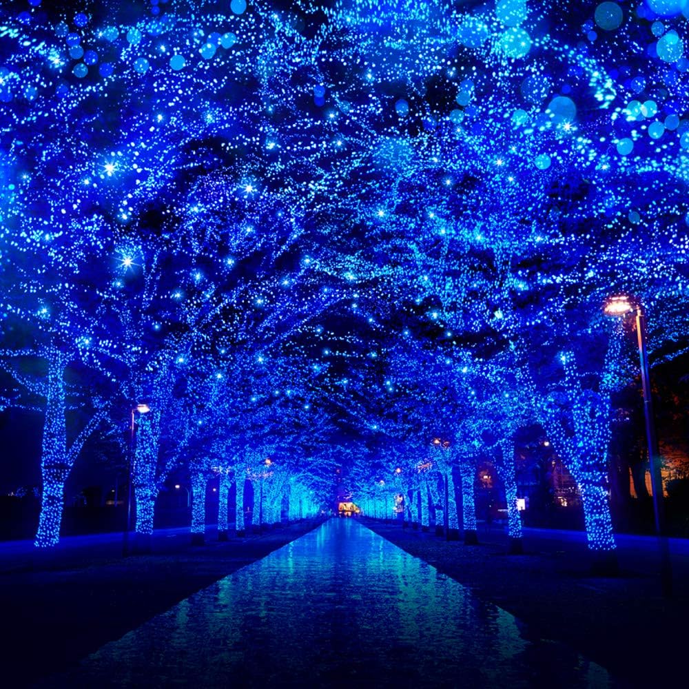 66Ft 200LED Blue Christmas Tree Lights String Light Indoor