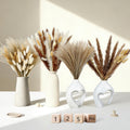 Dried Pampas Grass (125)