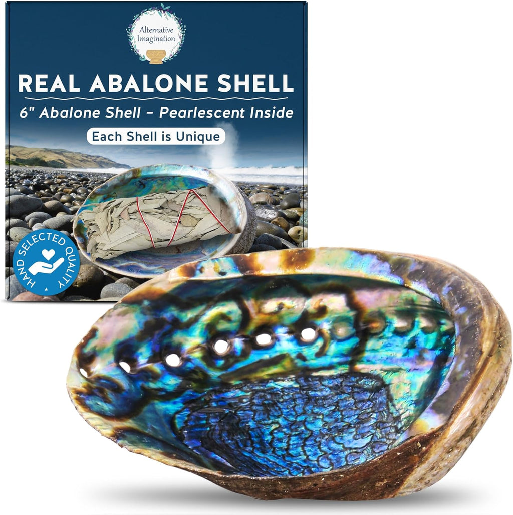 Hand Selected Abalone Shell, 6-Inch+ Polished Smudging & Display Bowl