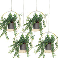 Geelin 4 Pcs Hanging Plant Holder with Wood Base Window Planter Boho, Gold