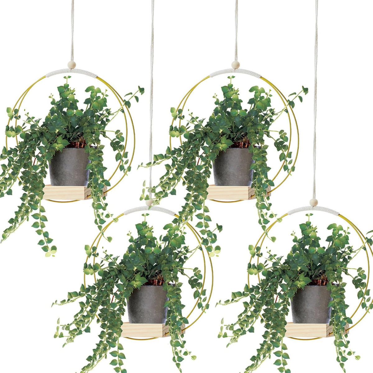Geelin 4 Pcs Hanging Plant Holder with Wood Base Window Planter Boho, Gold