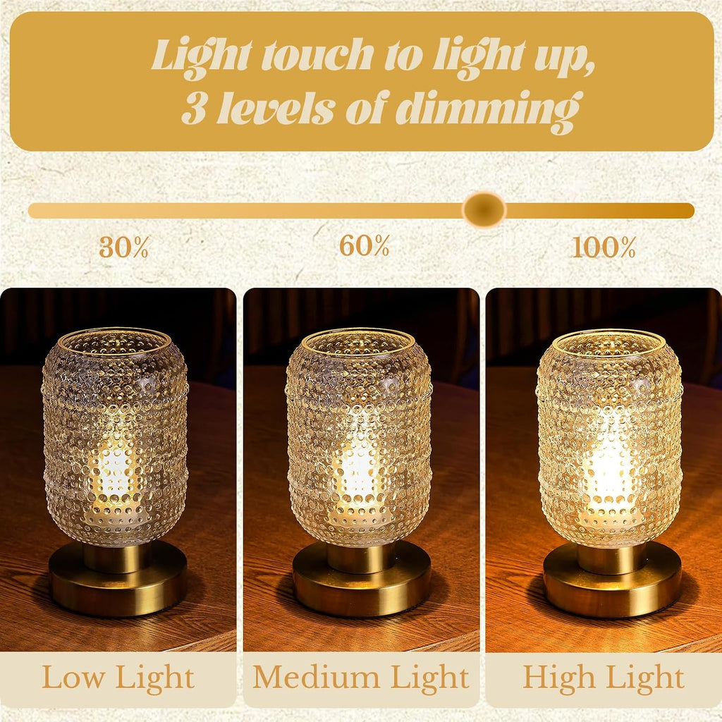 ZYER 8.9in Clear Table Lamp, Touch Control Bedside Lamp Small Vintage Lamp