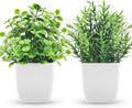 2 Pack Small Fake Plants, Potted Eucalyptus Bathroom Home Decor Indoor