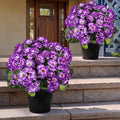 2 Pcs Artificial Flowers Potted for Outdoor, Pre-Made, Purple