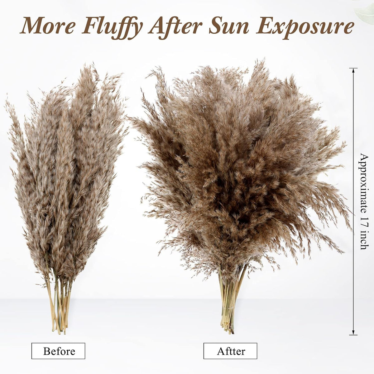 Janinka 100 Pcs Dried Fluffy Pampas Grass Bulk 17 Inch, Boho Decor, Brown