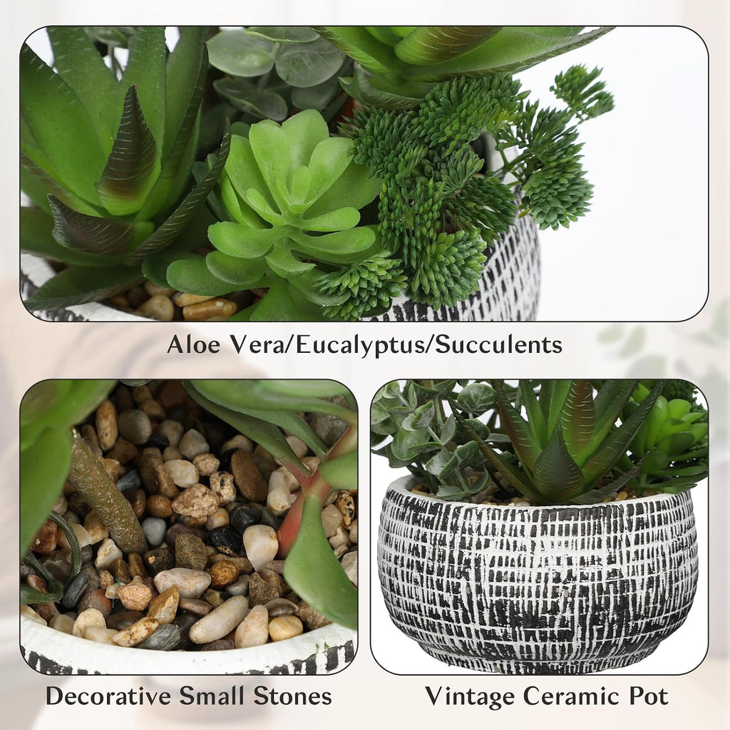 Large Artificial Succulent Aloe in Bowl Pot Faux Succulent Arrangement 11"