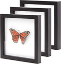 Super-Sturdy, Real Wood 8x8 Shadow Box Frame 3pk. Hardwood Display with Real Glass. Best Shadowbox to Showcase Photos, Tickets, Wedding Bouquets, CDs, Medals, Awards and Insects (3, Display Black)