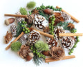 DIY Natural Dried Flower Kit - Bulk Dried Plants, Pine Cones, Scented Lemon Slices, Cinnamon Sticks Wood Roses & Mini Pinecones for Home Décor, Christmas Decoration (Green)