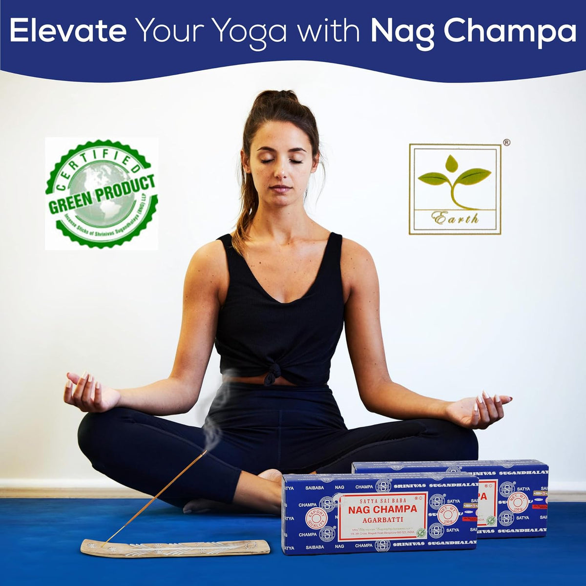 Satya Nagchampa Incense Sticks 250 gmx 2 Pack (500 GMS), Satya BNG (Bangalore) Insenses with Raajsee Incense Holder Bundle, Satya Nagchampa Natural Incense