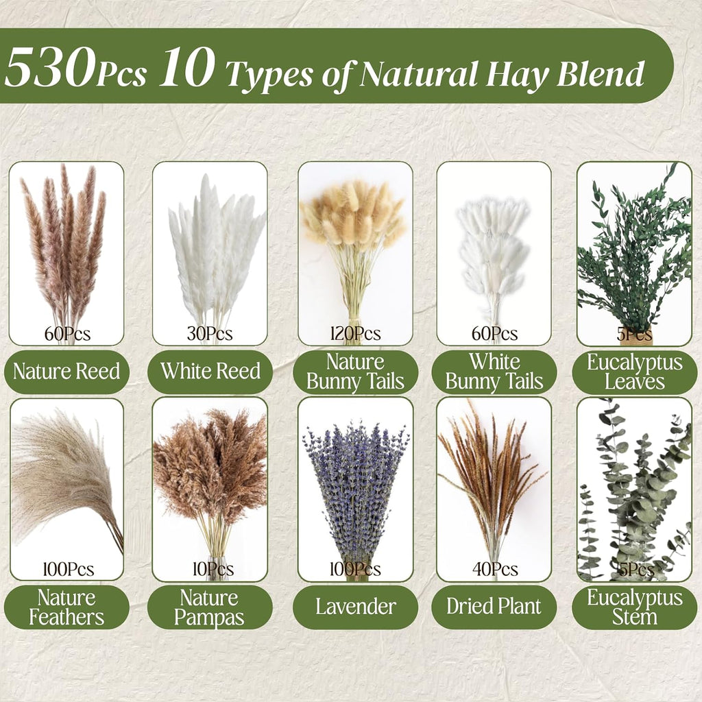 530/450Pcs Dried Pampas Grass Set for Dry Flower Home Decor (530Pcs Nature)