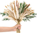 100Ps Dried Flowers Bouquet, Pampas, Rustic Home Decor, Wedding Centerpieces. (100)