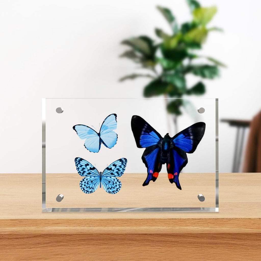 4x6 Inch Acrylic Picture Frame 1 Pack, 10+10mm Magnetic Photo Frame