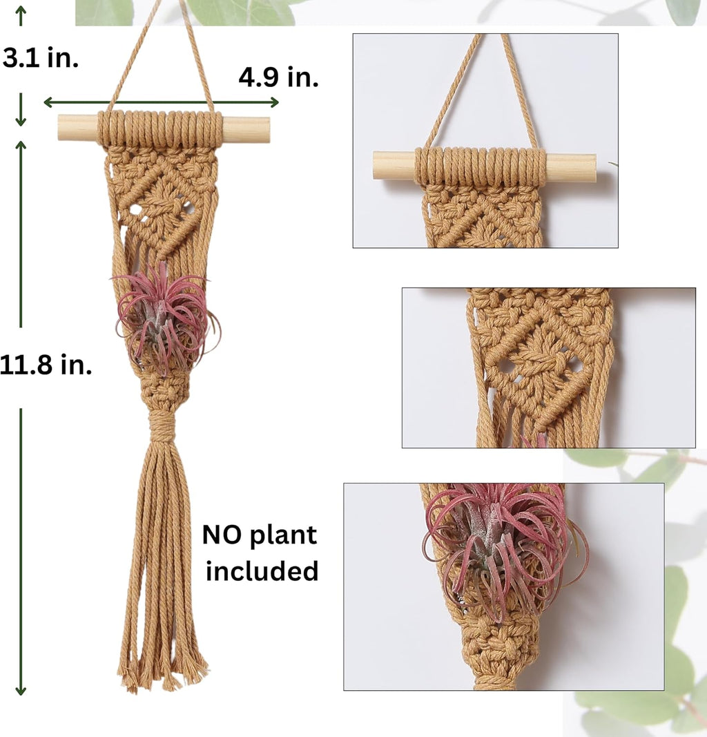 4 Pack Air Plant Holder, Air Plant Wall Hanger, Wall Plant Holder