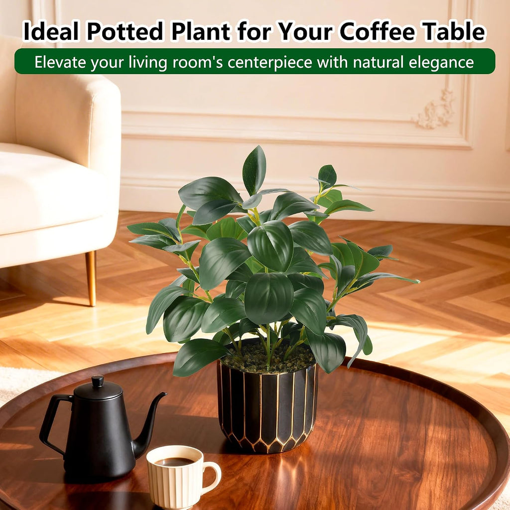 florisso Fake Plants Artificial Plants Indoor, Faux Potted Plants Indoor Artificial Succulents with Fig Leaf Look Real Greenery with Planter for Office Desk Coffee Table Home Decor(Black Gold)