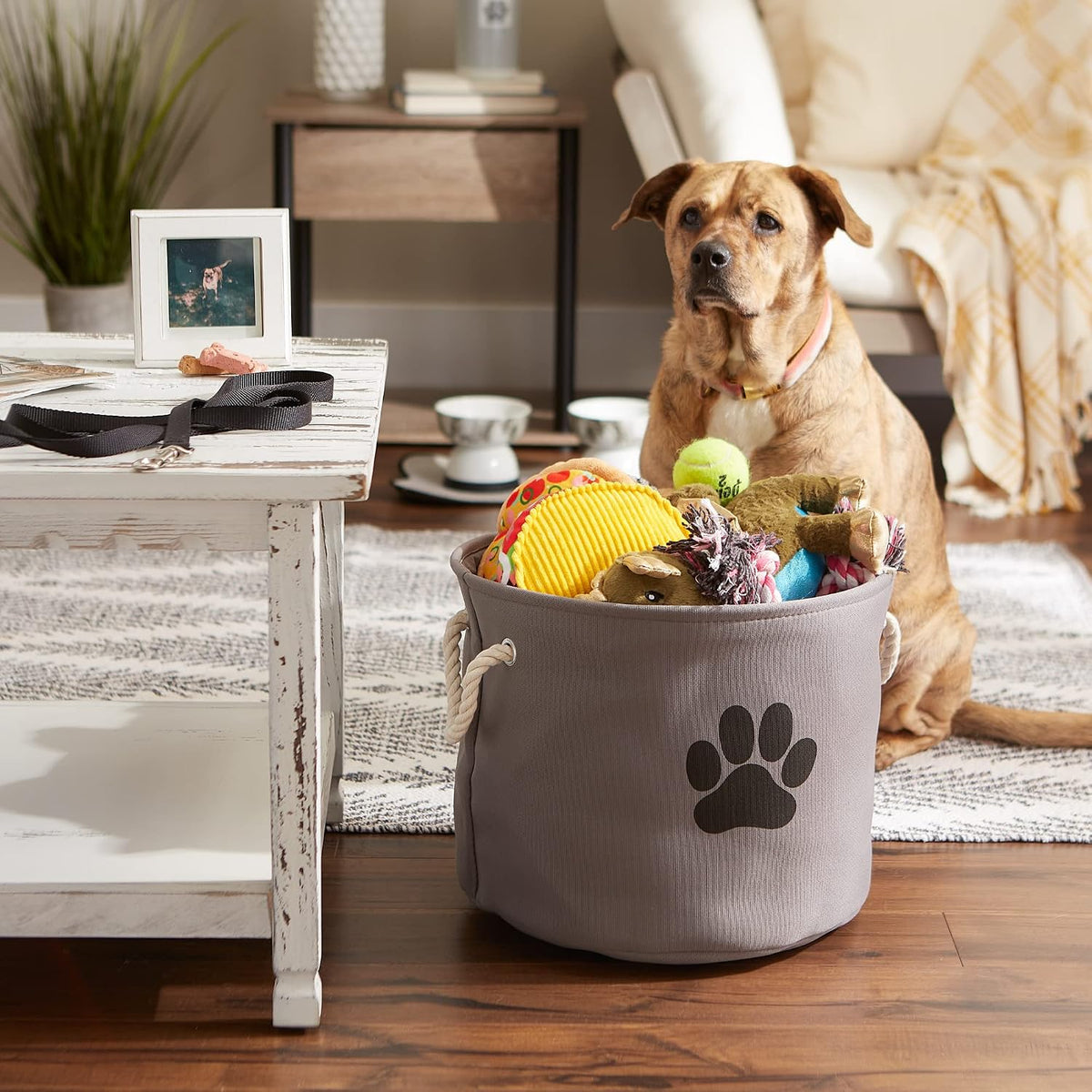 Bone Dry Dog Toy Basket, Round Gray Medium, Collapsible