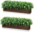 Lyrow 2 Pack Eucalyptus Plant,Brown,24 Inch,Emerald Green Round Leaves