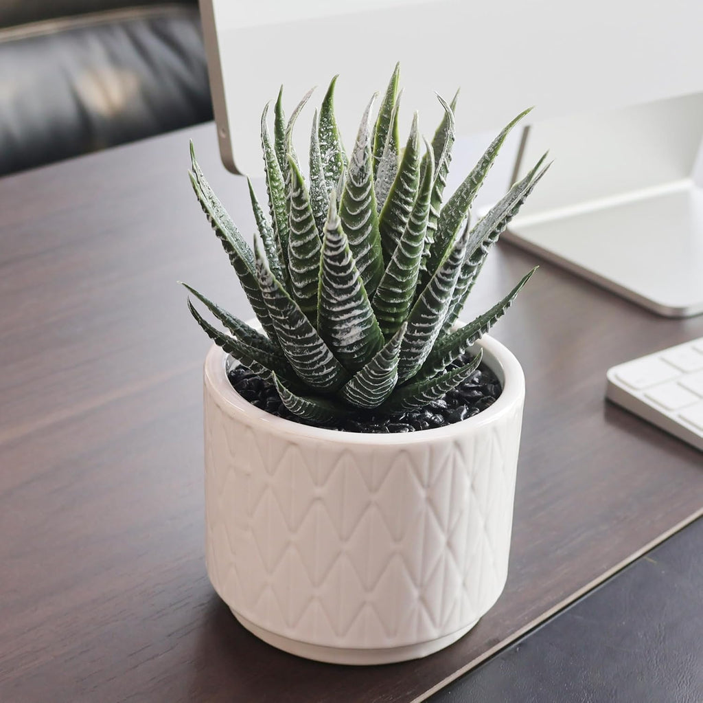 6.7'' High Artificial Succulents, Succulents Plants Artificial
