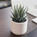 6.7'' High Artificial Succulents, Succulents Plants Artificial
