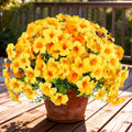 10pcs UV Resistant Faux Petunia Outdoor Flowers,Orange