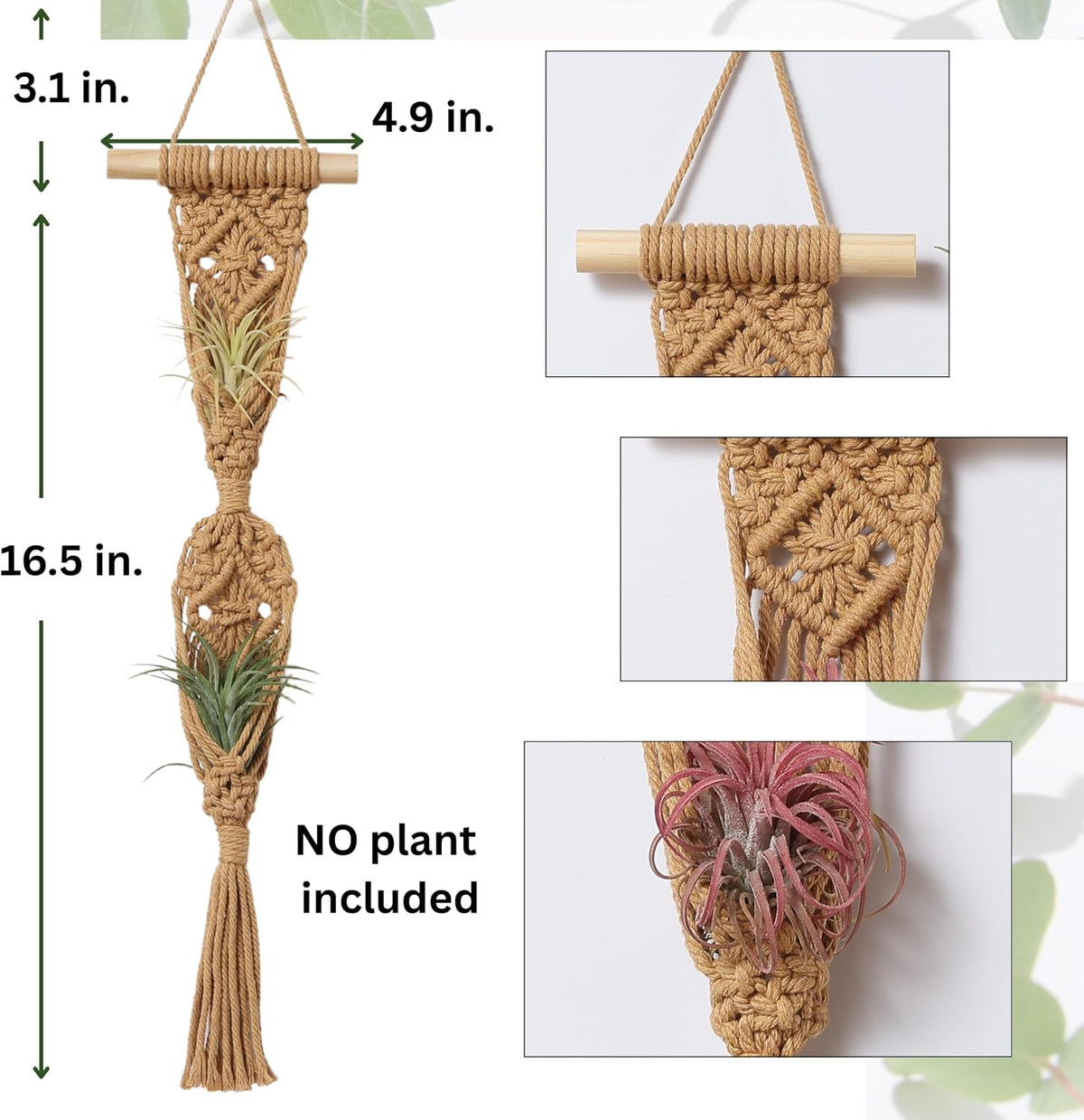 2 Tier 4 Pack Air Plant Holder, Air Plant Wall Hanger
