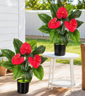 Anthurium Artificial Flowers with Pots, 2 Pack Fake Flowers Potted Faux Outdoor Plants, UV Resistant Realistic Faux Tropical Greenery for Planters Inside Porch Patio Yard (Red, 21.6")