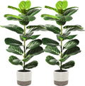 Suntee 2 Pack Faux Fiddle Leaf Fig Trees with Cotton Rope Basket, 30 Inches