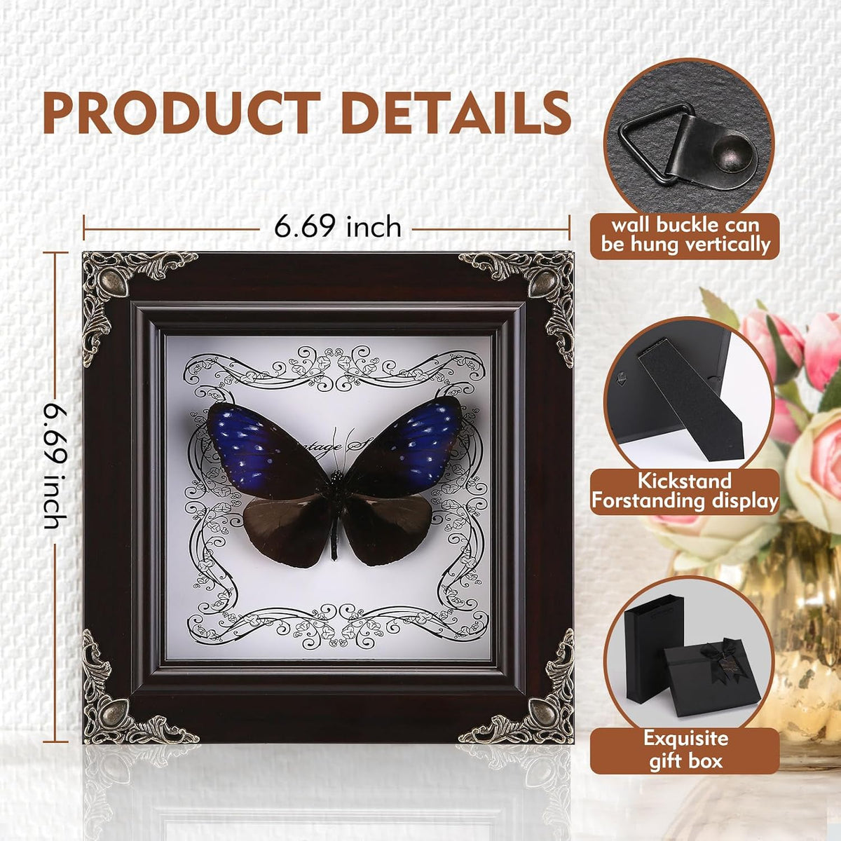 Real Framed Butterfly Specimen, Handmade Butterfly Taxidermy Shadow Box, Goth Gifts for Women, Dark Academia & Witchy Decor, (Blue-Spotted Violet Butterfly)