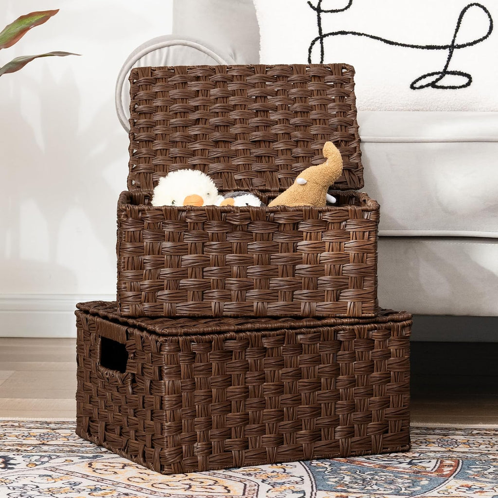 GRANNY SAYS Wicker Basket with Lid, Decorative Storage Baskets for Shelves