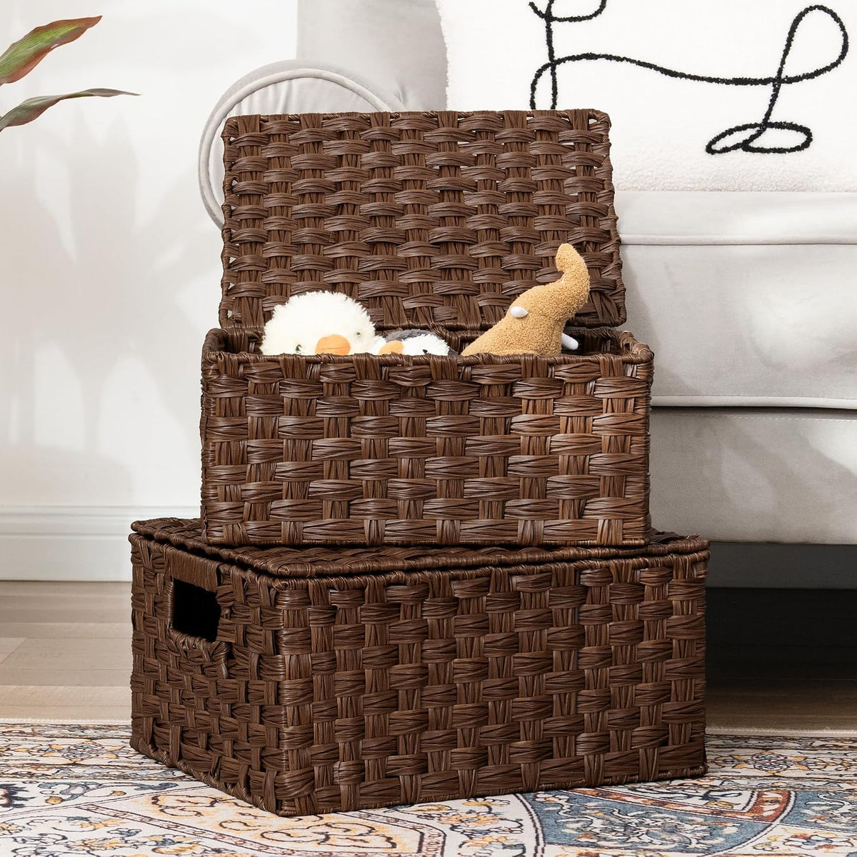 GRANNY SAYS Wicker Basket with Lid, Decorative Storage Baskets for Shelves