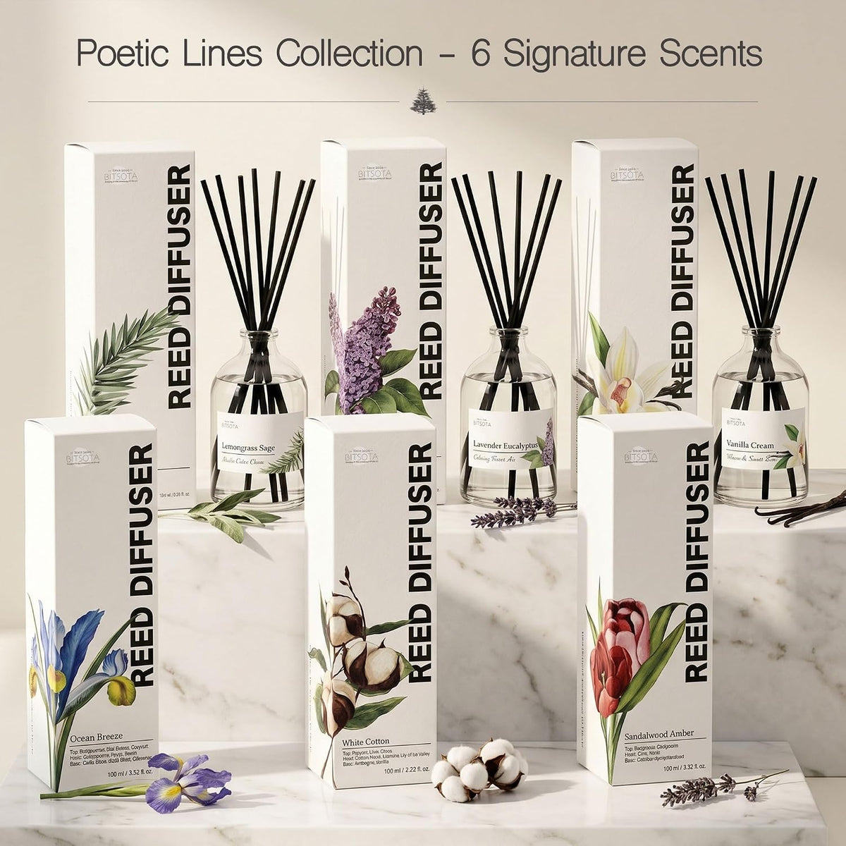 Reed Diffuser Set for Bathroom & Home, Long Lasting Essential Oil Aroma, Glass Bottle Home Fragrance with Sticks, Ideal Gift for Woman