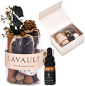 Lavault Reed Diffuser Set for Home, Office, Bedroom & Bathroom - Essential Oil Home Fragrance with Reed Sticks - Snow Orange Scented