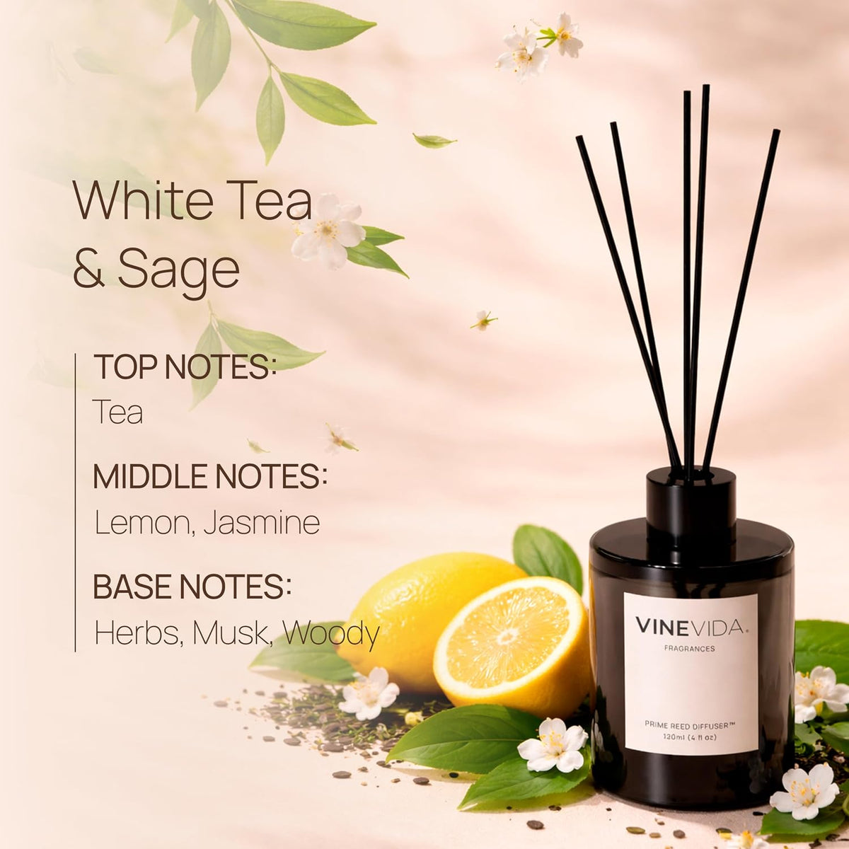 VINEVIDA | White Tea & Sage | Reed Diffuser for Home & Bathroom | Long-Lasting Scent Sticks Set | Oil Stick Diffuser | Bathroom Scent