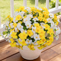 12 Bundles Artificial Flowers for Outdoors UV Resistant Fake Morning Glory