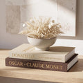 Decorative Faux Books for Home Decor, Brown - Beige, Set of 2 Fake Books