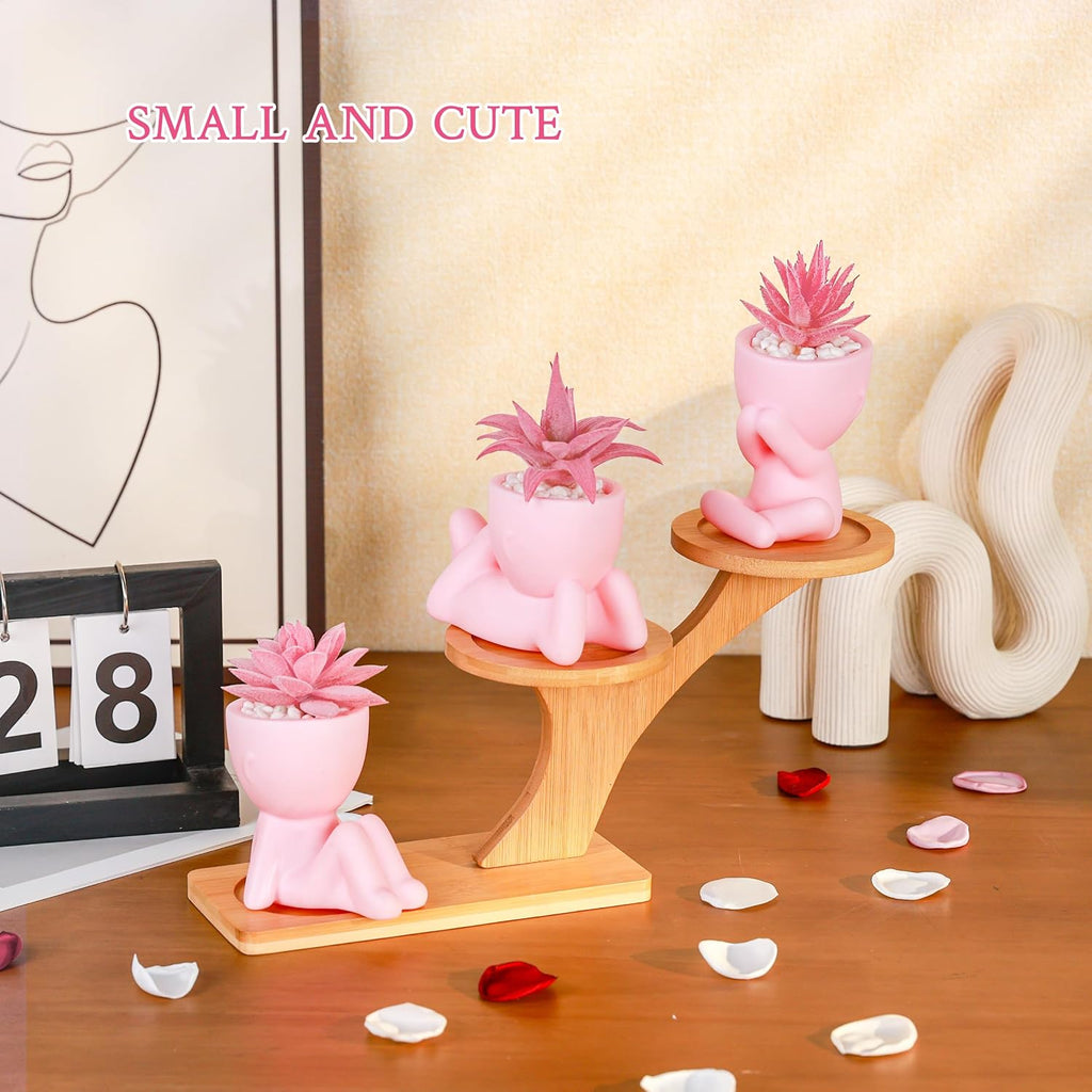 Der Rose 3 Pack Fake Succulents in Pink Human Pots for Desk Decor