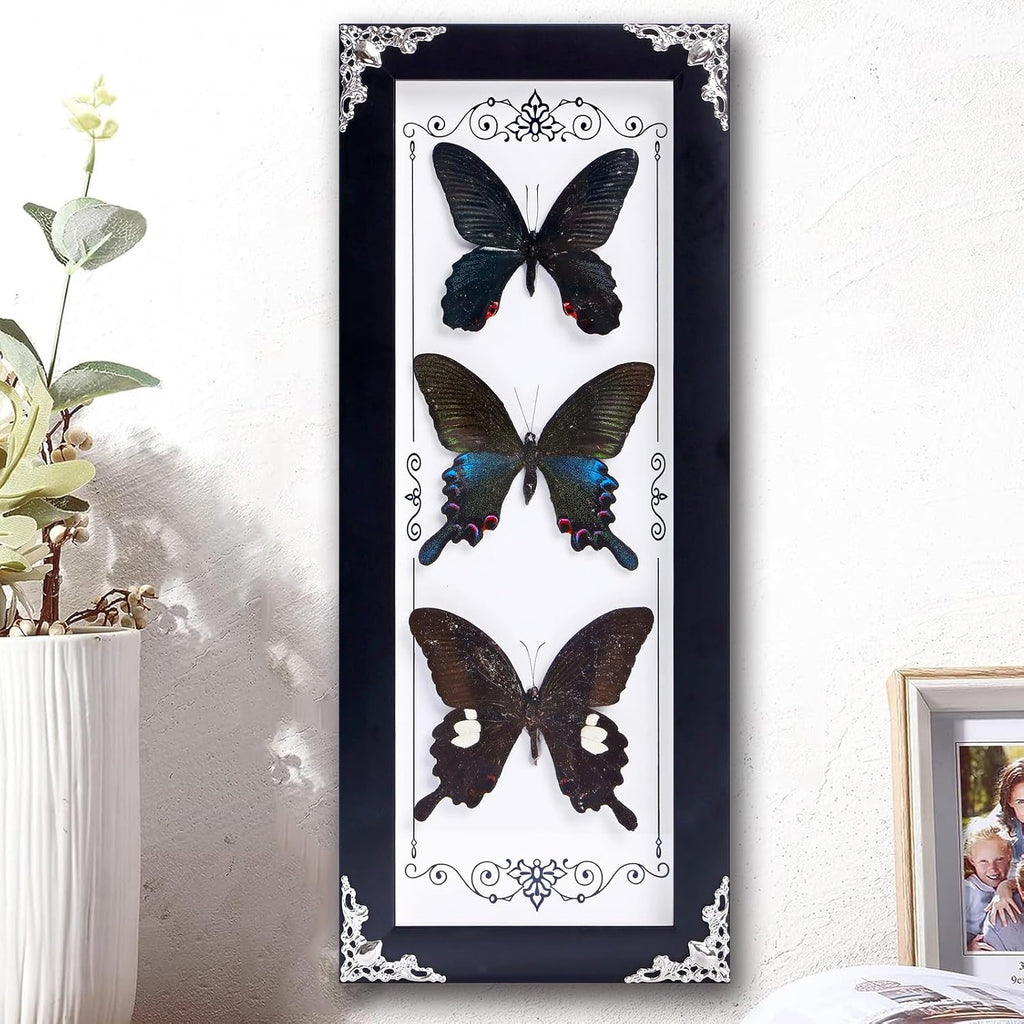 Framed 3 Real Butterfly Gothic Decor, 15.2"X6.5" Taxidermy Shadow Box Wall Decor for Witchy Home