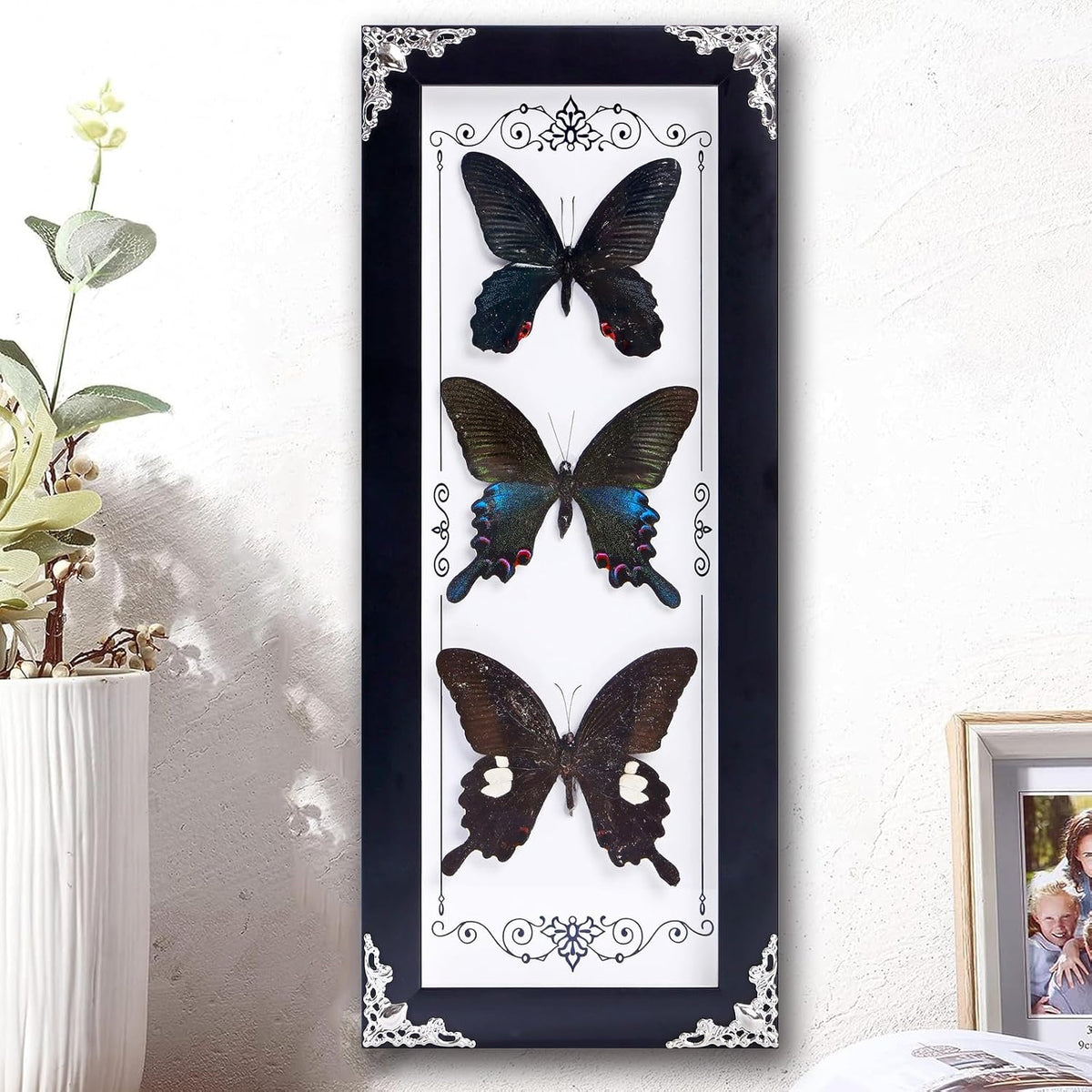Framed 3 Real Butterfly Gothic Decor, 15.2"X6.5" Taxidermy Shadow Box Wall Decor for Witchy Home