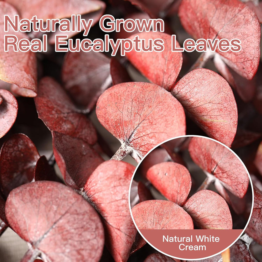 20 Pcs Dried Eucalyptus Stems, 17'' Real Red Leaves for Fall Decoration