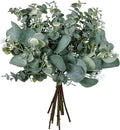 Bulk Artificial Silver Dollar Eucalyptus Leaves Picks Stems and Faux Branches for Vase Bouquets Floral Arrangement Wreath Rustic Farmhouse Greenery Decoration