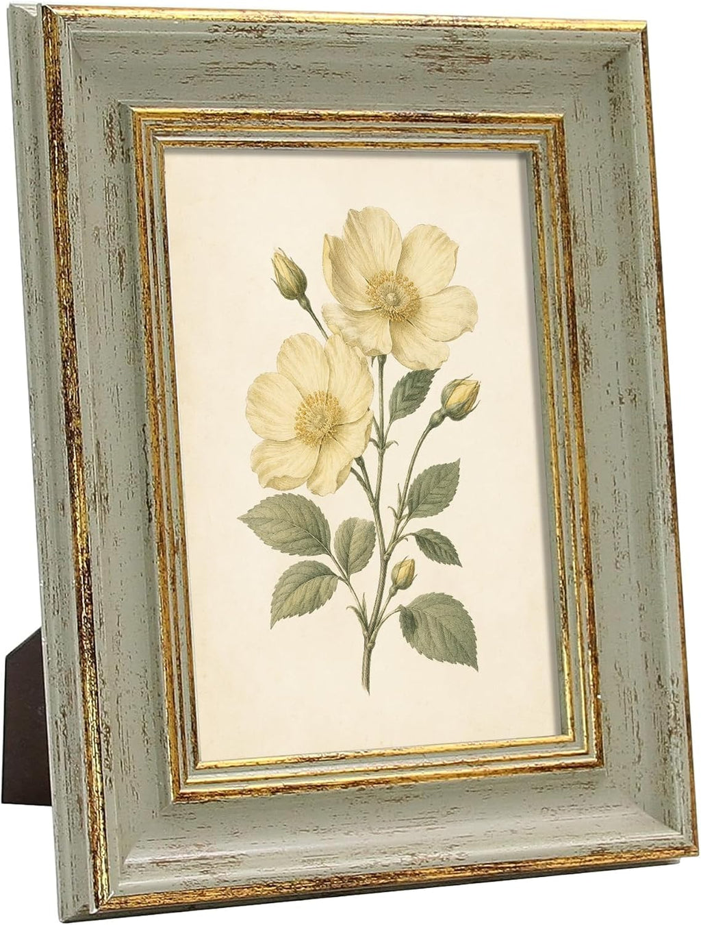 Sapowerntus Vintage 5x7 Picture Frame Gold Line Sage Green Photo Frames