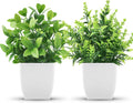 Der Rose 2 Pack Fake Plants Small Faux Plants Indoor for Office Desk Decor