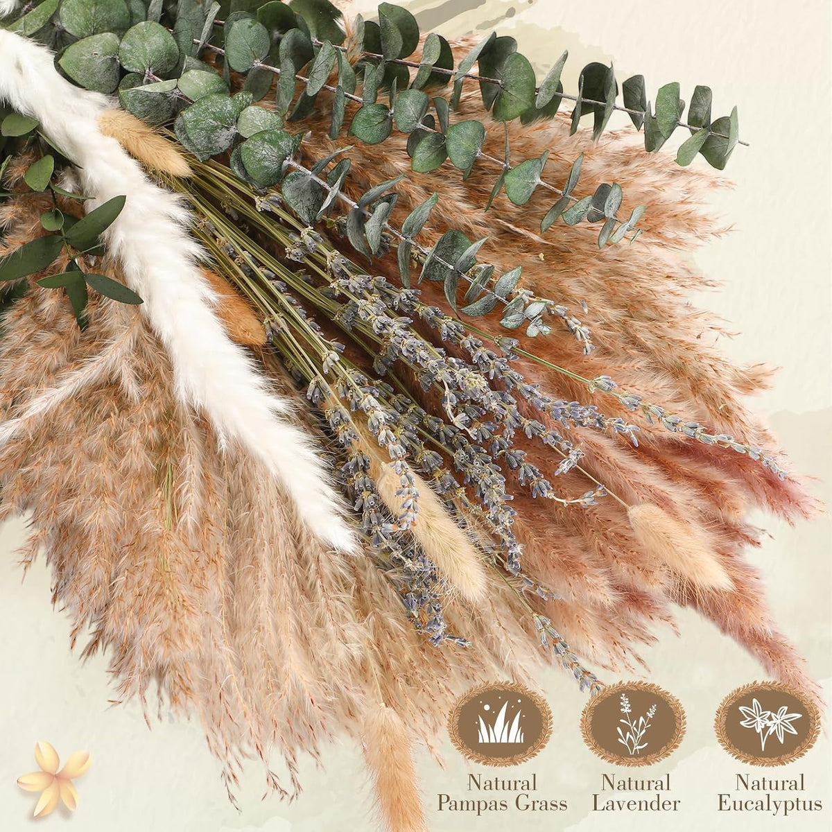 800 Pcs Boho Dried Pampas Grass Decor, Exquisite Lavender and Eucalyptus Dried Rustic Flowers Arrangements Bouquets for Your Bohemian Home, Bedroom, and Wedding Table Decoration
