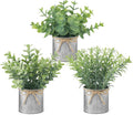 Mkono Small Fake Plants, 3 Pack Mini Faux Plants for Farmhouse Home Decor