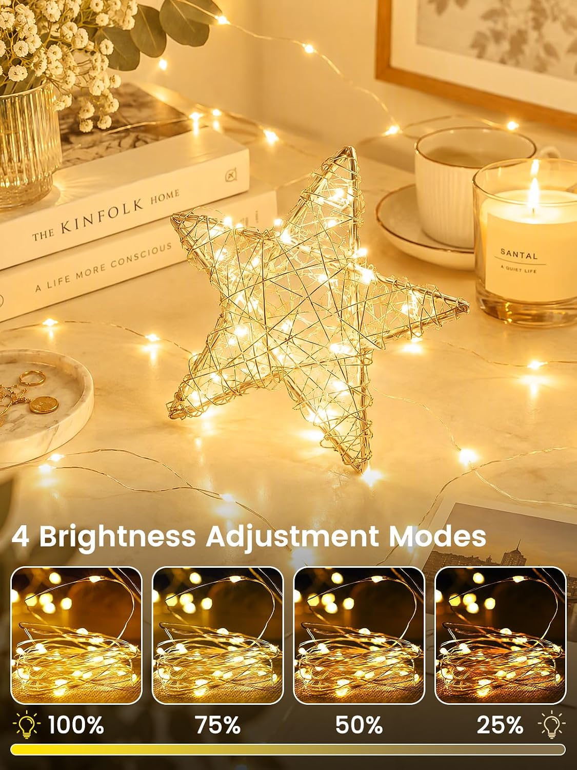33FT 100 LED Fairy Lights Plug in with Remote, Twinkle Lights for Christmas