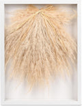 YZXZM Dried Pampas Grass Decorations for Boho Wall Art Decor in 16" Frame (Beige)