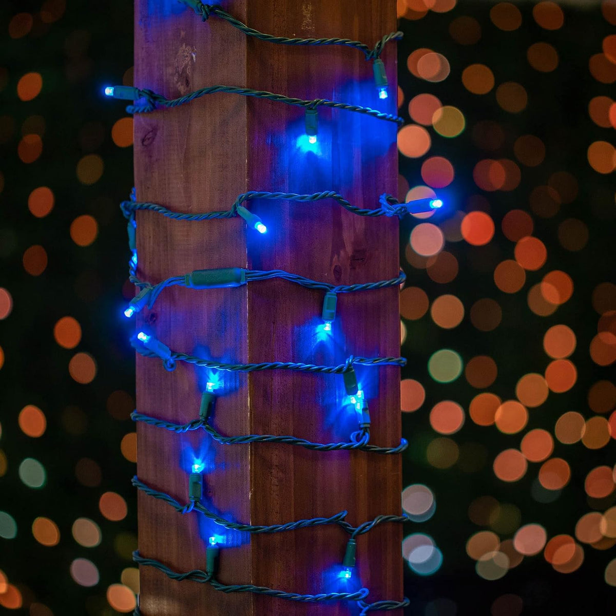 Novelty Lights 25ft 50 LED Blue Christmas Lights, Green Wire String Lights