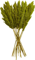 Deco 79 Dried Plant Pampas Home Decor Natural Foliage Natural Dried Foliage with Long Stems, Foliage for Decoration 2" x 1" x 35", Green