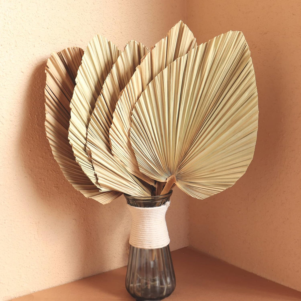 Dried Palm Leaves 5Pcs 18" Large Natural Trimmed Palm Spear Tropical Palm Leaves Fans Boho Wedding Decor Hawaiian Luau Party Holidays Kitchen Table Dried Flowers Pampas Grass Decoration