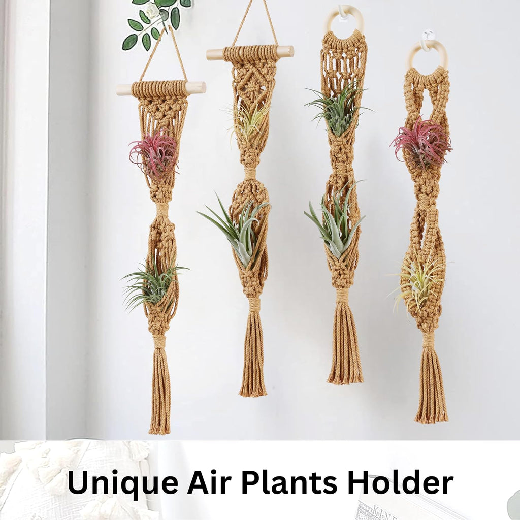 2 Tier 4 Pack Air Plant Holder, Air Plant Wall Hanger