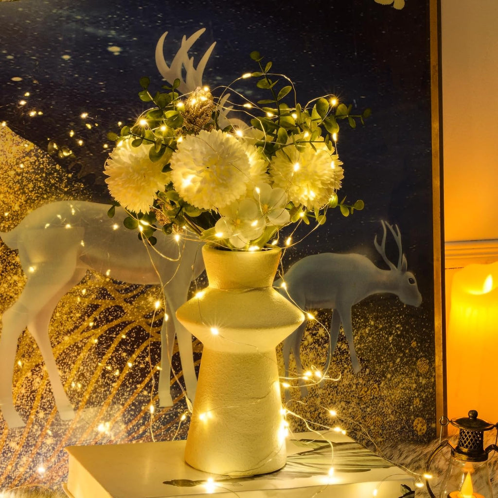 Bexdir 12 Pack 7ft Warm White Fairy Lights, 20 LED Battery String Lights